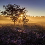 Sunset at Heuvelse Heide